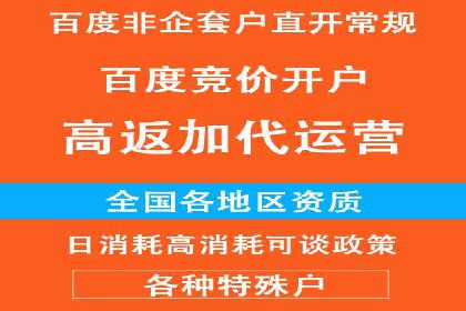 案例分析：百度推广效果优化技巧
